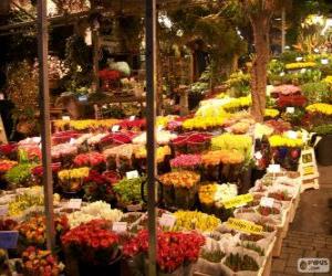 пазл Цветочный рынок, Амстердам, Нидерланды